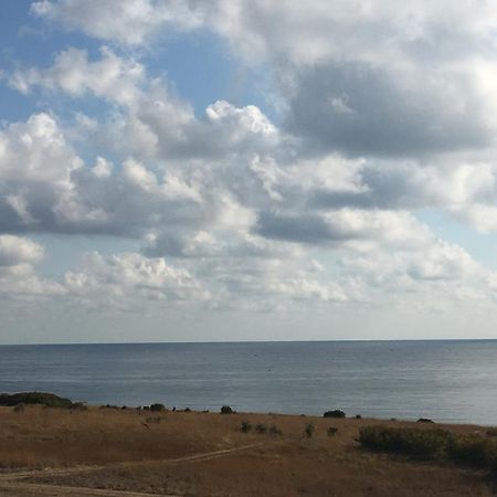 צרבו Dream Bay Family Hotel מראה חיצוני תמונה