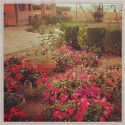 צרבו Dream Bay Family Hotel מראה חיצוני תמונה
